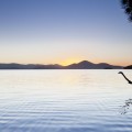 Wallis Lake