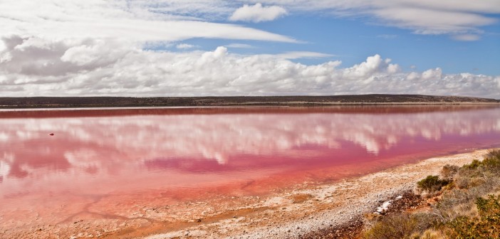Pink Lake Kalbarri