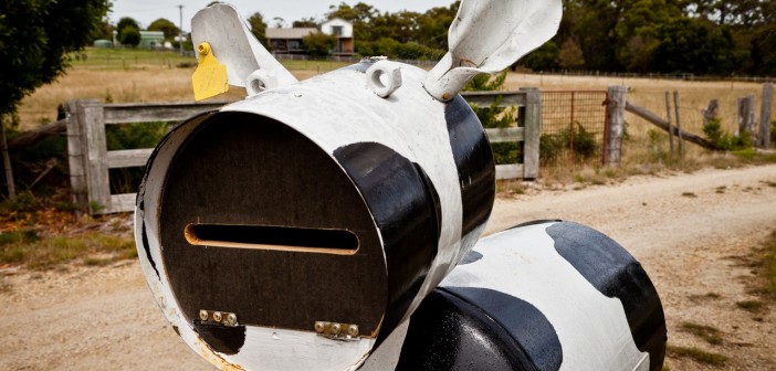 Boite aux lettres vache en Tasmanie