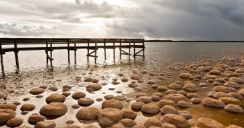 Thrombolites lac Clifton