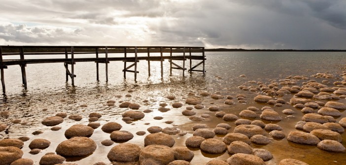 Thrombolites lac Clifton