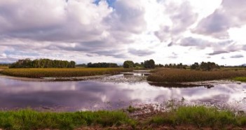 Photo du jeudi : Tyto Wetlands Tyto Wetlands en panoramique