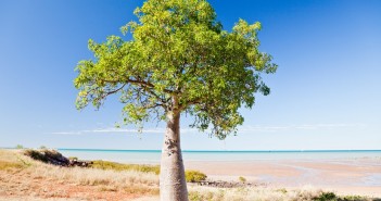 Town Beach, Broome